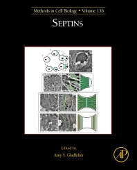 Septins (Hardback) 9780128039984