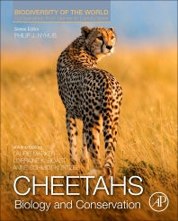 Cheetahs: Biology and Conservation; Biodiversity of the World: Conservation from Genes to Landscapes (Hardback) 9780128040881