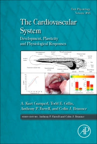 The Cardiovascular System; Development, Plasticity and Physiological Responses (Hardback) 9780128041642