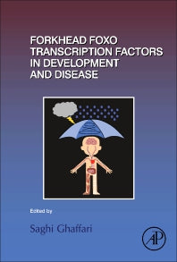 Forkhead FOXO Transcription Factors in Development and Disease (Hardback) 9780128042533