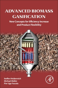 Advanced Biomass Gasification; New Concepts for Efficiency Increase and Product Flexibility (Paperback) 9780128042960