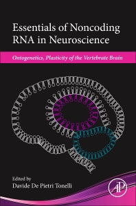 Essentials of Noncoding RNA in Neuroscience; Ontogenetics, Plasticity of the Vertebrate Brain (Hardback) 9780128044025