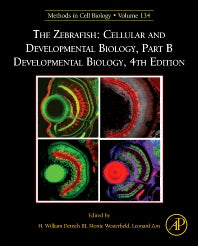 The Zebrafish: Cellular and Developmental Biology, Part B Developmental Biology (Hardback) 9780128050552