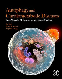 Autophagy and Cardiometabolic Diseases; From Molecular Mechanisms to Translational Medicine (Paperback) 9780128052532