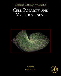 Cell Polarity and Morphogenesis (Hardback) 9780128093733