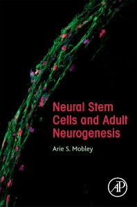 Neural Stem Cells and Adult Neurogenesis (Paperback) 9780128110140