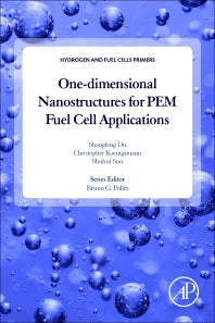 One-dimensional Nanostructures for PEM Fuel Cell Applications (Paperback) 9780128111123