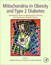 Mitochondria in Obesity and Type 2 Diabetes; Comprehensive Review on Mitochondrial Functioning and Involvement in Metabolic Diseases (Paperback / softback) 9780128117521