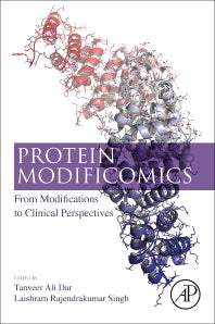 Protein Modificomics; From Modifications to Clinical Perspectives (Paperback) 9780128119136