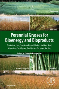 Perennial Grasses for Bioenergy and Bioproducts; Production, Uses, Sustainability and Markets for Giant Reed, Miscanthus, Switchgrass, Reed Canary Grass and Bamboo (Paperback) 9780128129005