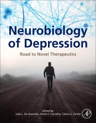 Neurobiology of Depression; Road to Novel Therapeutics (Paperback) 9780128133330