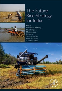 The Future Rice Strategy for India (Hardback) 9780128139363