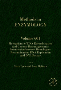 Mechanisms of DNA Recombination and Genome Rearrangements: Intersection Between Homologous Recombination, DNA Replication and DNA Repair (Hardback) 9780128139790