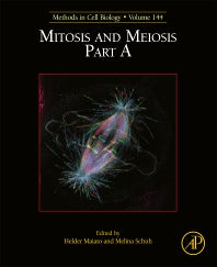 Mitosis and Meiosis Part A (Hardback) 9780128141441