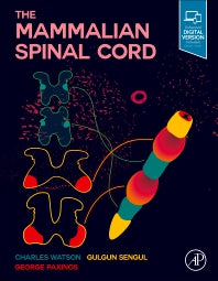 The Mammalian Spinal Cord (Hardback) 9780128141465