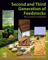 Second and Third Generation of Feedstocks; The Evolution of Biofuels (Paperback / softback) 9780128151624