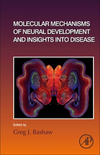 Molecular Mechanisms of Neural Development and Insights into Disease (Hardback) 9780128152812