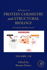 Intracellular Signalling Proteins (Hardback) 9780128155615