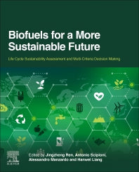 Biofuels for a More Sustainable Future; Life Cycle Sustainability Assessment and Multi-Criteria Decision Making (Paperback) 9780128155813