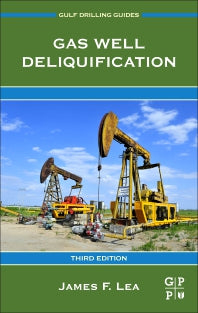 Gas Well Deliquification (Paperback / softback) 9780128158975