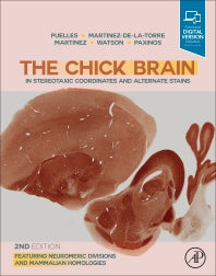 The Chick Brain in Stereotaxic Coordinates and Alternate Stains; Featuring Neuromeric Divisions and Mammalian Homologies (Hardback) 9780128160404