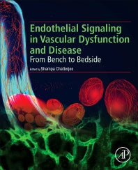 Endothelial Signaling in Vascular Dysfunction and Disease; From Bench to Bedside (Paperback) 9780128161968