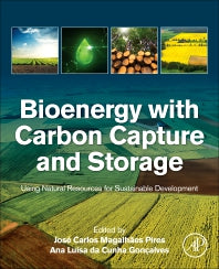 Bioenergy with Carbon Capture and Storage; Using Natural Resources for Sustainable Development (Paperback) 9780128162293