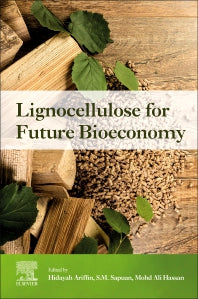Lignocellulose for Future Bioeconomy (Paperback) 9780128163542