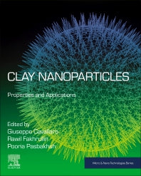 Clay Nanoparticles; Properties and Applications (Paperback) 9780128167830
