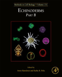 Echinoderms Part B (Hardback) 9780128170724