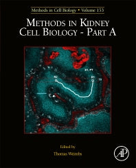 Methods in Kidney Cell Biology Part A (Hardback) 9780128170823