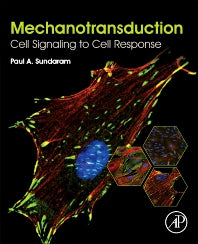 Mechanotransduction; Cell Signaling to Cell Response (Paperback) 9780128178829