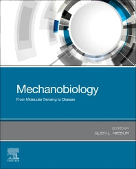 Mechanobiology; From Molecular Sensing to Disease (Paperback) 9780128179314