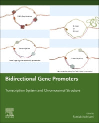 Bidirectional Gene Promoters; Transcription system and chromosomal structure (Paperback) 9780128187876