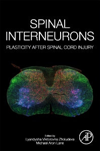 Spinal Interneurons; Plasticity after Spinal Cord Injury (Paperback) 9780128192603