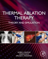 Thermal Ablation Therapy; Theory and Simulation (Paperback) 9780128195444