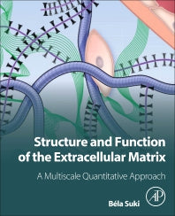 Structure and Function of the Extracellular Matrix; A Multiscale Quantitative Approach (Paperback) 9780128197165