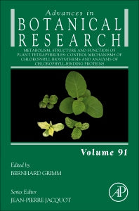 Metabolism, Structure and Function of Plant Tetrapyrroles: Control Mechanisms of Chlorophyll Biosynthesis and Analysis of Chlorophyll-Binding Proteins (Hardback) 9780128199824