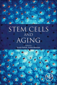 Stem Cells and Aging (Paperback) 9780128200711