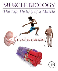 Muscle Biology; The Life History of a Muscle (Paperback) 9780128202784