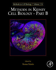 Methods in Kidney Cell Biology Part B (Hardback) 9780128203354