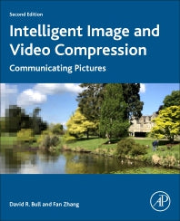 Intelligent Image and Video Compression; Communicating Pictures (Paperback) 9780128203538