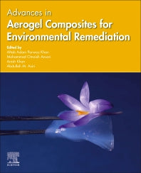 Advances in Aerogel Composites for Environmental Remediation (Paperback) 9780128207321