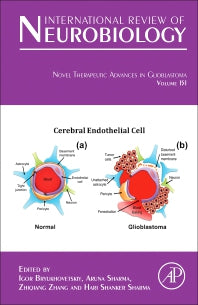 Novel Therapeutic Advances in Glioblastoma (Hardback) 9780128211144