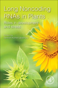 Long Noncoding RNAs in Plants; Roles in Development and Stress (Paperback) 9780128214527