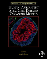 Human Pluripotent Stem Cell Derived Organoid Models (Hardback) 9780128215319