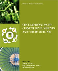 Biomass, Biofuels, Biochemicals; Circular Bioeconomy—Current Developments and Future Outlook (Paperback) 9780128218785