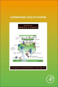 Hormones and Synapse (Hardback) 9780128220252