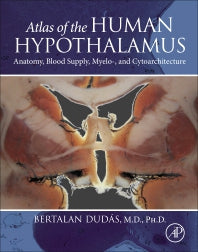 Atlas of the Human Hypothalamus; Anatomy, Blood Supply, Myelo-, and Cytoarchitecture (Hardback) 9780128220511