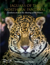 Jaguars of the Northern Pantanal; Panthera Onca at the Meeting of the Waters (Paperback) 9780128221389